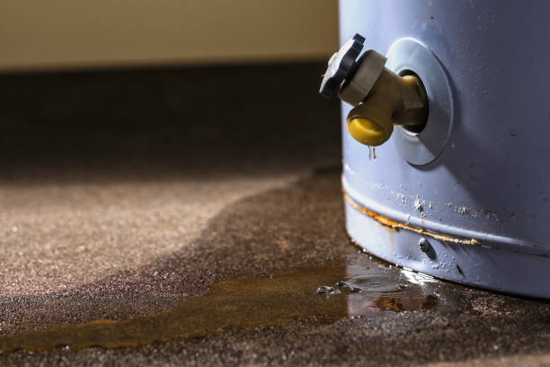 Best Emergency water extraction  in Campton Hls, IL