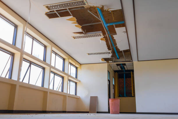 Best Flood damage cleanup  in Campton Hls, IL