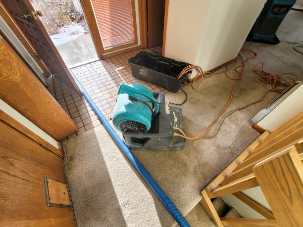Best Flooded house restoration  in Campton Hls, IL