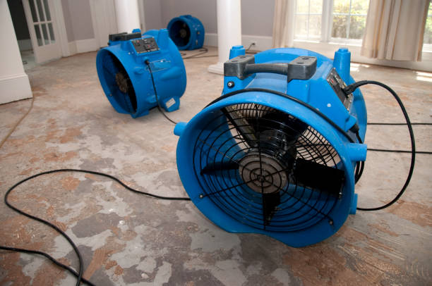 Best Fire Damage Restoration  in Campton Hls, IL