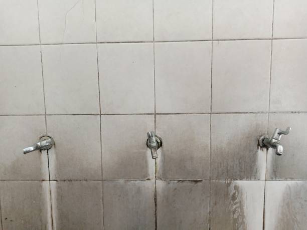 Best Sewage cleanup and water damage restoration  in Campton Hls, IL