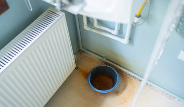 Best 24/7 water damage repair  in Campton Hls, IL