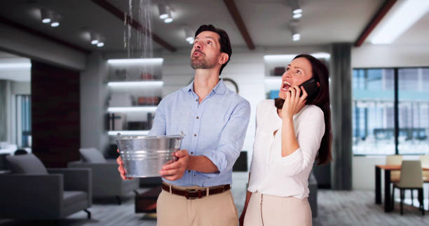 Best Ceiling water damage repair  in Campton Hls, IL